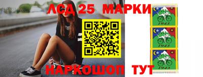 2c-b Кингисепп