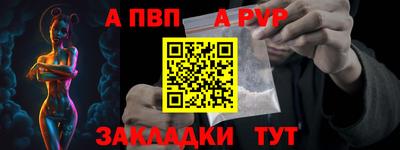 2c-b Кингисепп