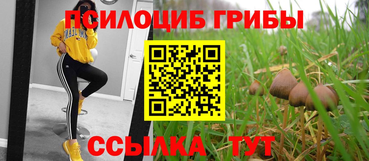 Кирово-Чепецк  где можно купить   Вход с VPN  Псилоцибиновые грибы прущие грибы 